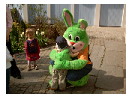thumbnail1